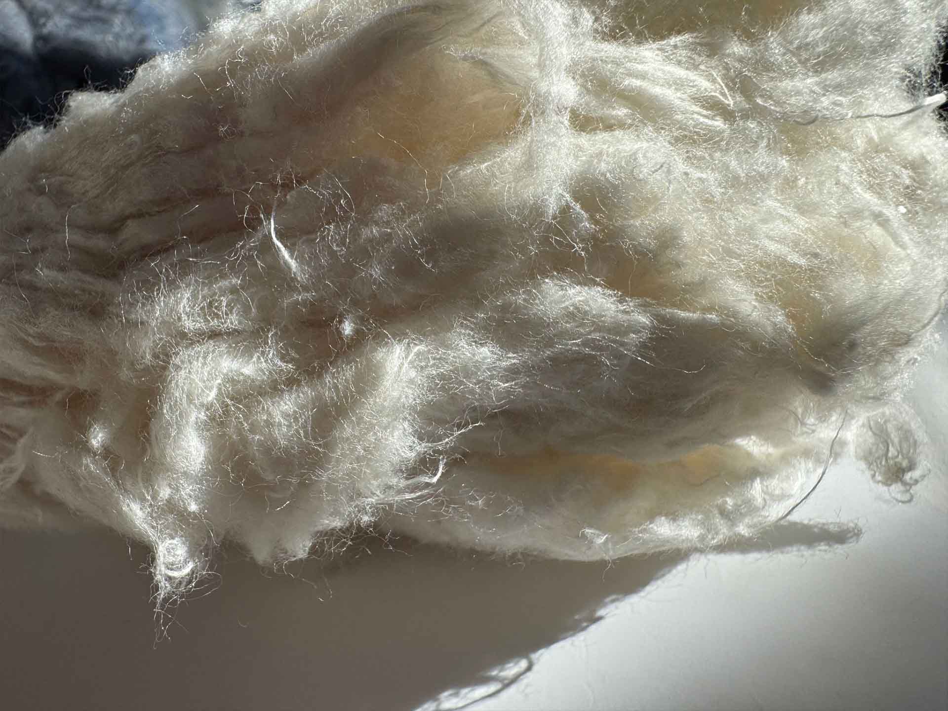 Recycled Cotton Fibers