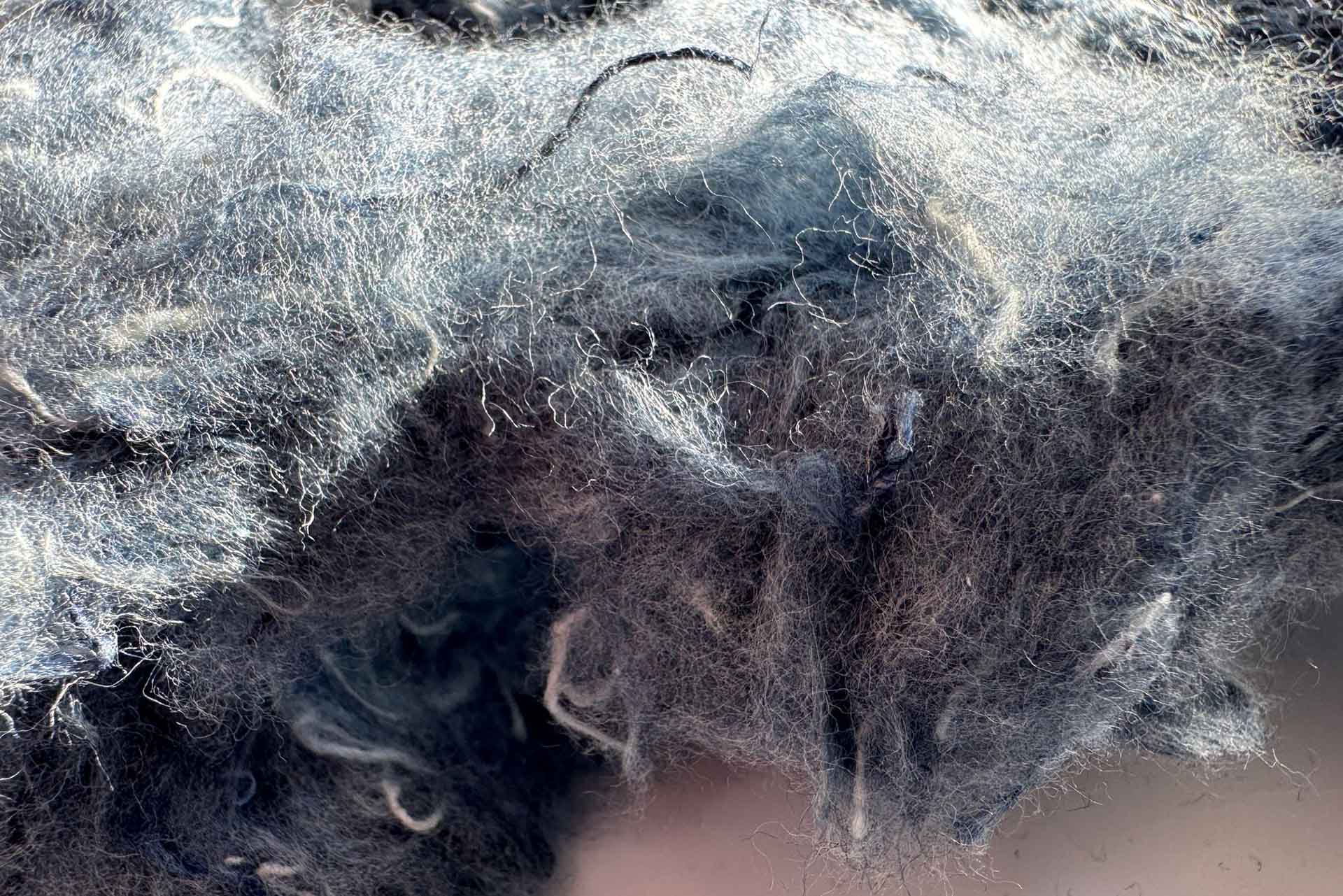 Recycled Cotton Fibers